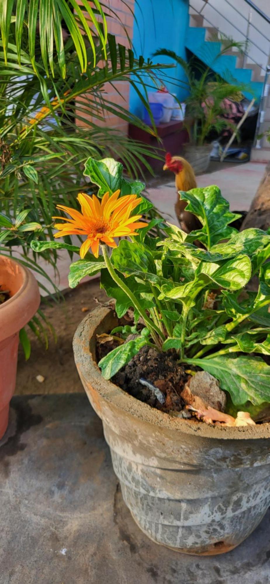 Victoria'S River View Resort Puducherry Zewnętrze zdjęcie